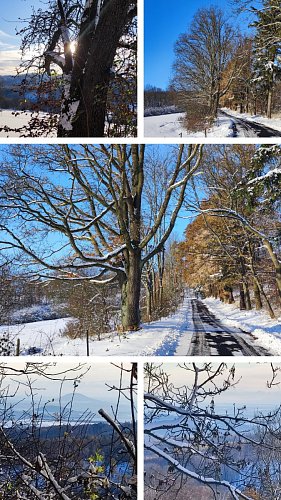 20231126-173418-collage.jpg