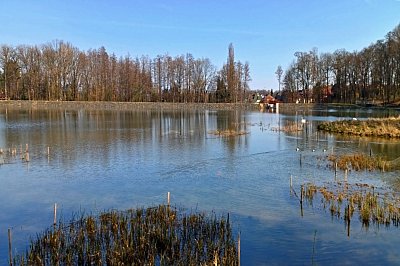 20240319-140818-1.jpg