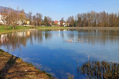 20240319-140824-1.jpg
