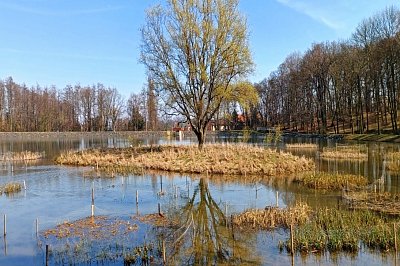 20240319-140853-1.jpg