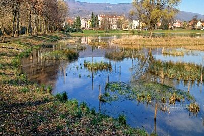 20240319-141202-1.jpg