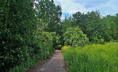 20240526-153039.jpg