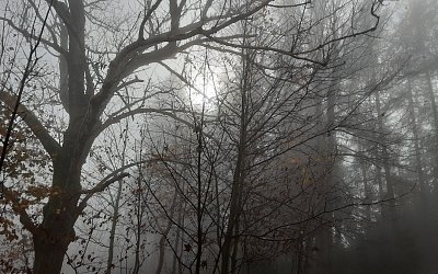20241101-101219.jpg