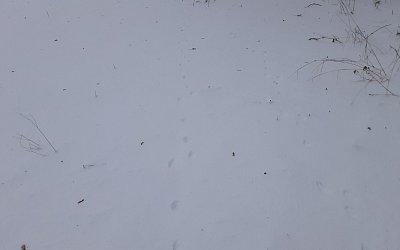 20241210-104753.jpg