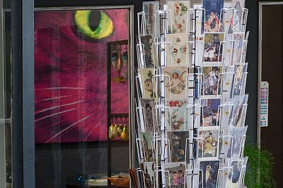 Pozor! Kocour hlídá!