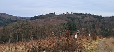 20250311-141245.jpg