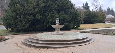 20250313-084452.jpg