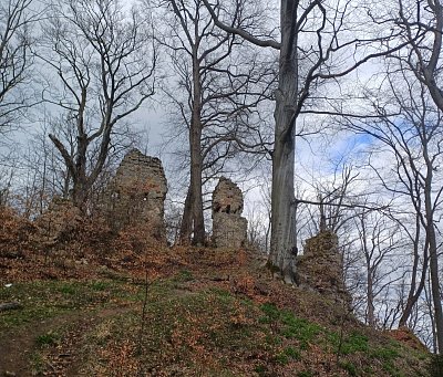 20250406-160339-2.jpg