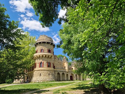20250513-133911.jpg