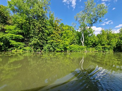 20250513-153505.jpg