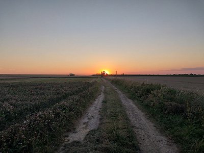 Sklizeň