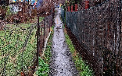 Vršovická ouplávka *