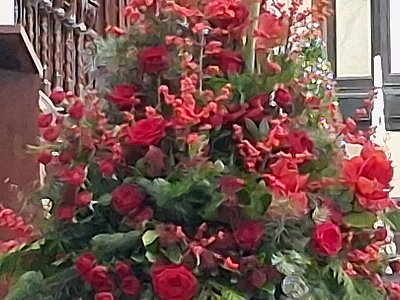 Krásné Vánoce přeje Dana