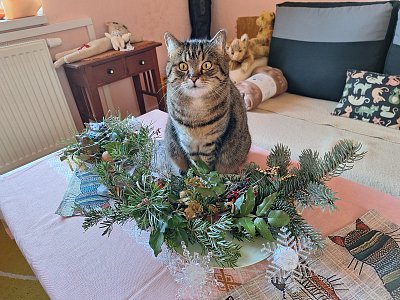 Ať jsou Vaše všechny dny sváteční