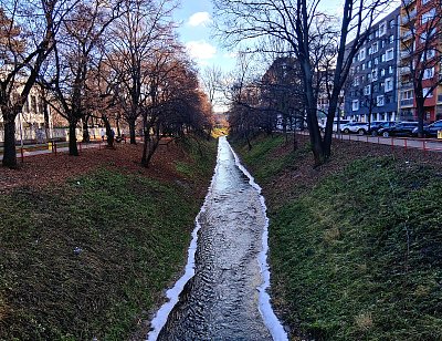 Botič s ledovou krajkou