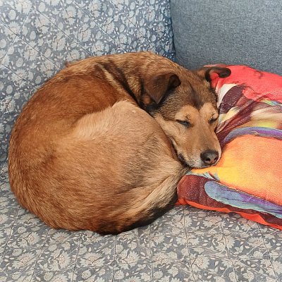 Pohodička po procházce.