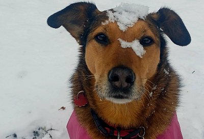 Závěj na hlavě...