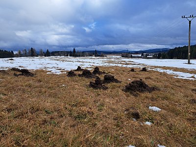 Krtkovo