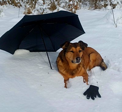 A nezaprší a nezaprší..