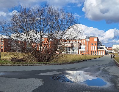 Hradecká univerzita za keřem