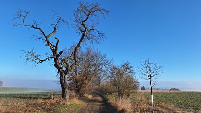 Starý i mladý u jedné cesty