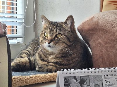 To nic, sluníčko zase vyjde