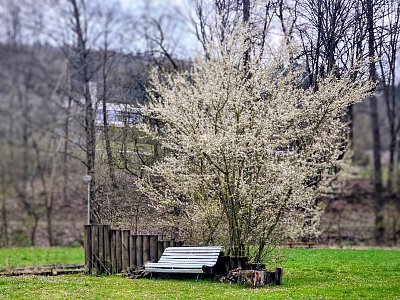 Bílé mám tě rád...