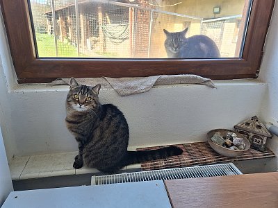 Uvnitř nebo venku, jsme tu doma