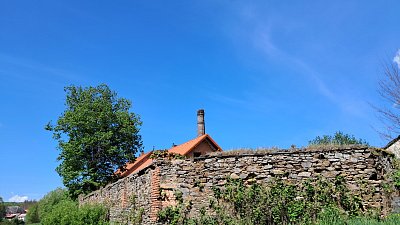 20260518-103212.jpg