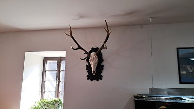 20260519-083404.jpg