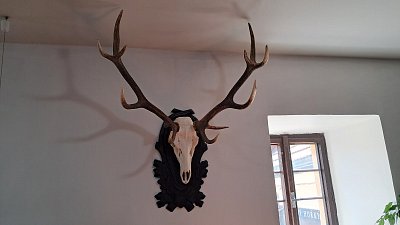 20260519-083413.jpg