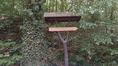 20260519-131041.jpg