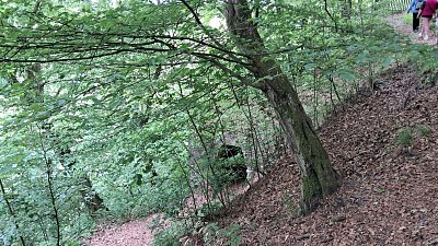 20260519-141428.jpg