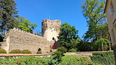 20260520-095117.jpg