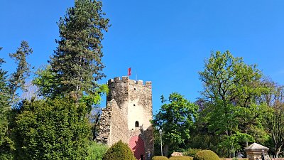 20260520-095814.jpg