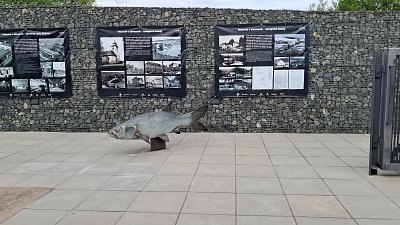 20260520-113015.jpg