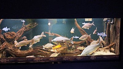 20260520-114028.jpg