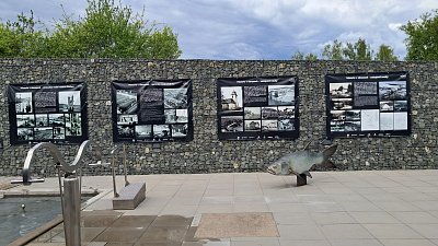 20260520-124643.jpg