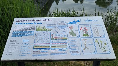 20260520-125129.jpg