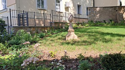20260521-103846.jpg