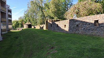 20260522-091114.jpg
