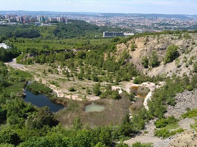 21-hady-nad-brnem.jpg