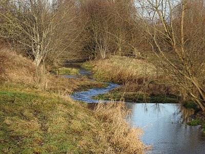 21-potok-cepel-meandruje.jpg