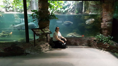 ZOO- Dvůr Králové
