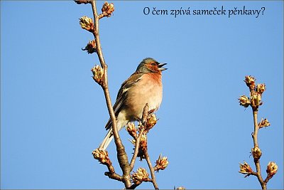 22-118.jpg