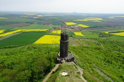 22-cerna-vez-z-bile-veze.jpg