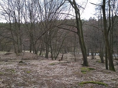 22-tudy-sla-sona-s-olinkou-bosky.jpg