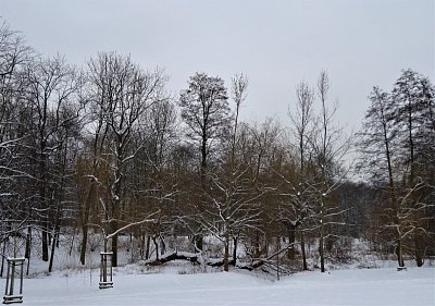 23-dsc08951.jpg