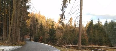 Cesta domů