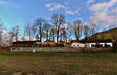 Únor bez sněhu. Foceno u Labe 2.2.25 odpoledne